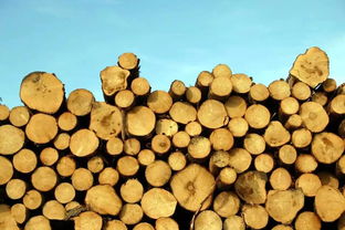 家居人必看的年度盤點 2017中國家居行業十大關鍵詞之木制品